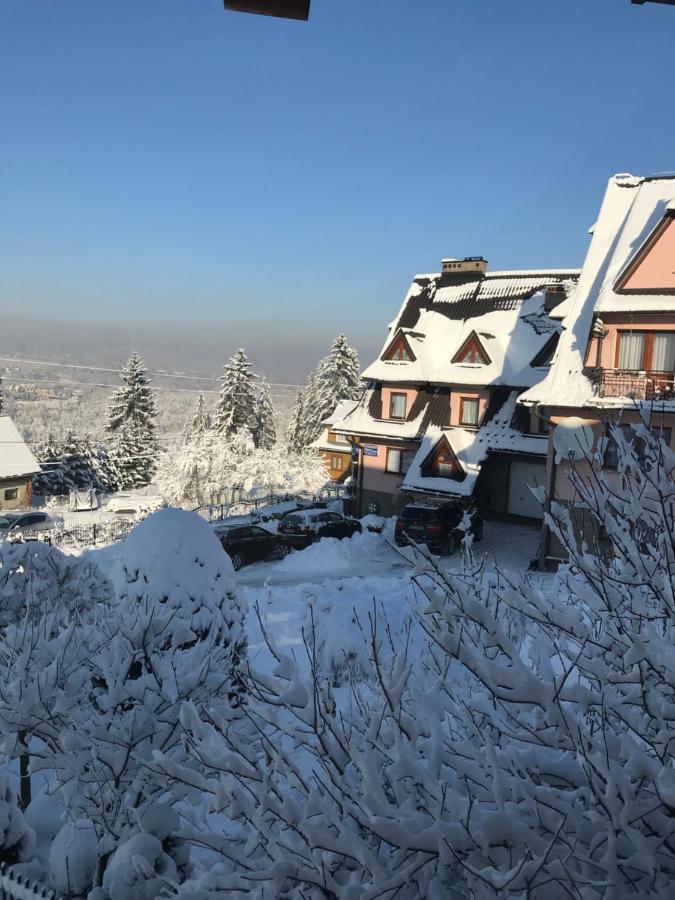 Pokoje U Borzana Bed and Breakfast Biały Dunajec Εξωτερικό φωτογραφία