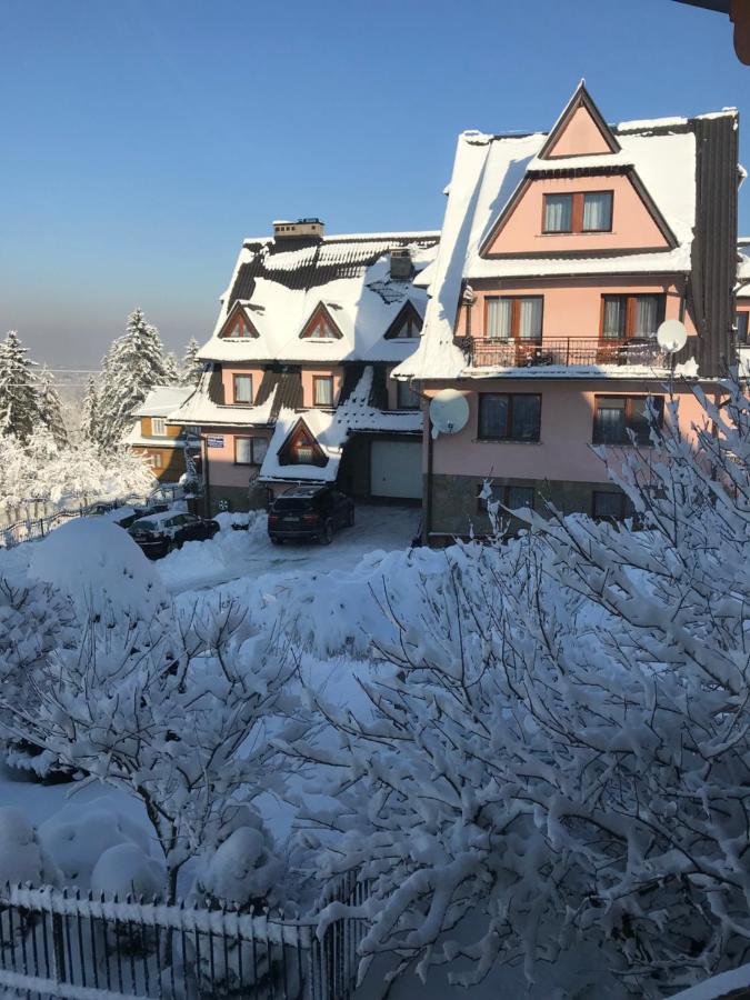 Pokoje U Borzana Bed and Breakfast Biały Dunajec Εξωτερικό φωτογραφία